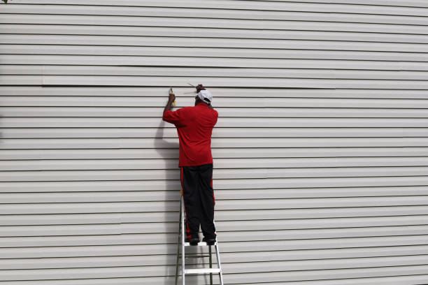 Best Siding for New Construction  in Ellijay, GA